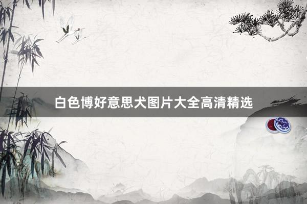 白色博好意思犬图片大全高清精选